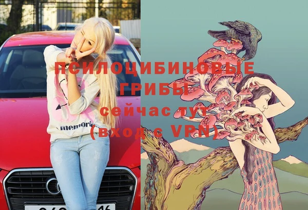 амф Белоозёрский