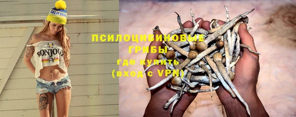амф Белоозёрский
